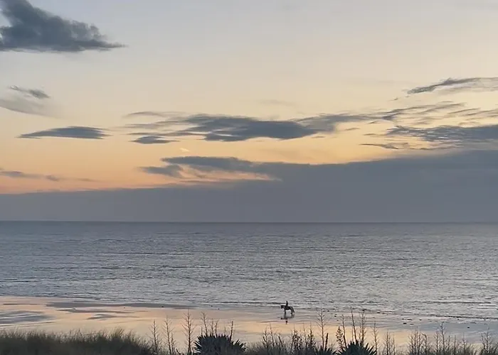 Denise Petit Nyaraló